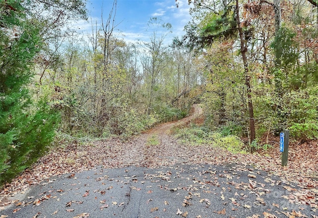 view of road