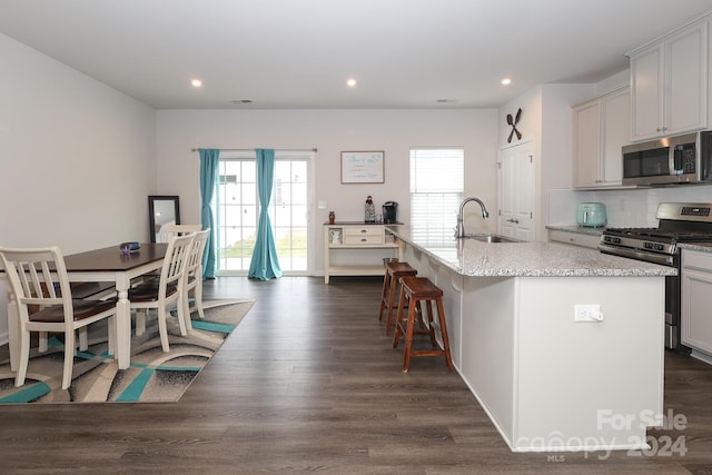 kitchen featuring stainless steel appliances, dark hardwood / wood-style floors, a center island with sink, and sink