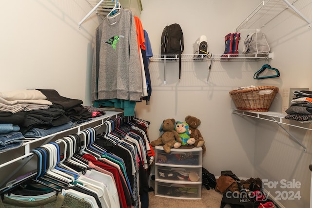 walk in closet with carpet floors