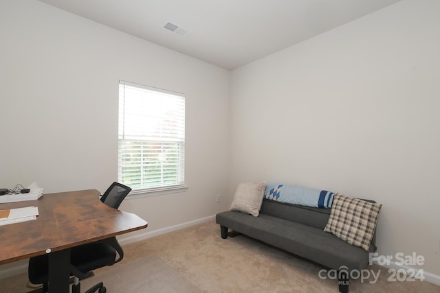 view of carpeted home office