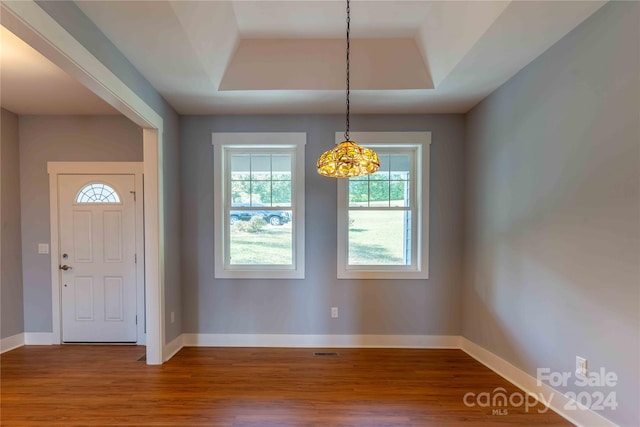 entrance foyer featuring hardwood / wood-style floors and a tray ceiling