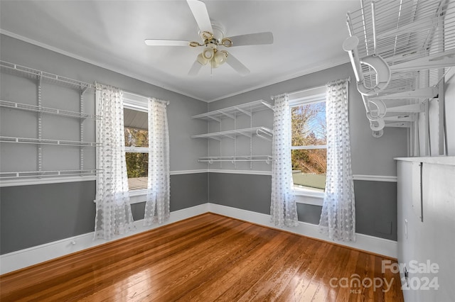 interior space featuring ceiling fan, wood-type flooring, and ornamental molding