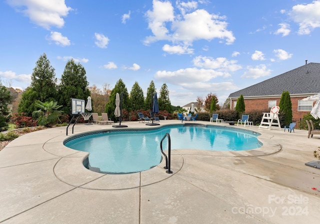 view of pool featuring a patio area