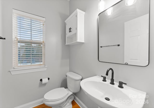 bathroom featuring hardwood / wood-style floors, toilet, and sink