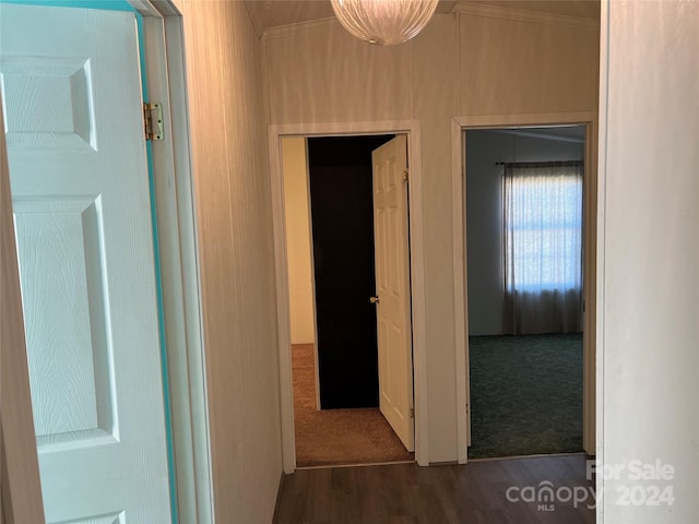 corridor with dark hardwood / wood-style flooring and ornamental molding