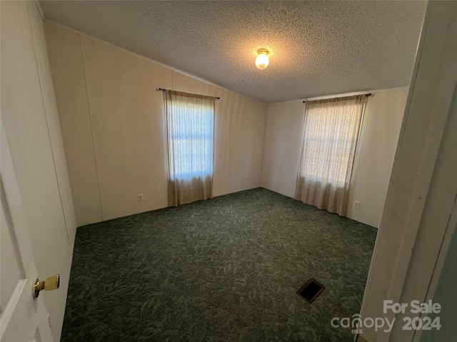 carpeted empty room featuring a textured ceiling and vaulted ceiling