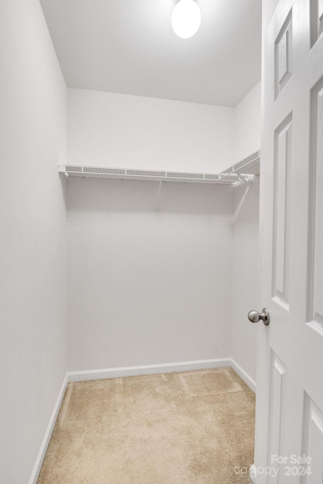 walk in closet featuring carpet floors