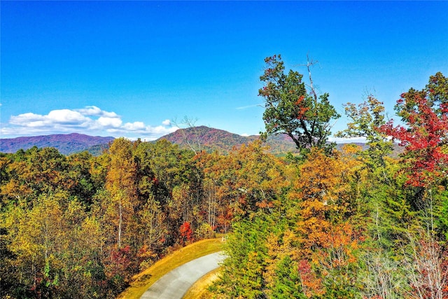 0 High Pines Loop Unit 157, Lake Lure NC, 28746 land for sale