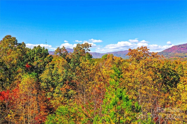 Listing photo 2 for 0 High Pines Loop Unit 157, Lake Lure NC 28746