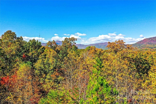 Listing photo 3 for 0 High Pines Loop Unit 157, Lake Lure NC 28746