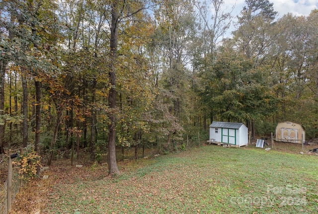 view of yard featuring a shed