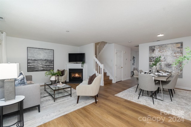 living room featuring wood-type flooring