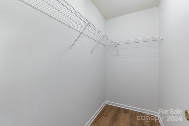 walk in closet featuring dark wood-type flooring