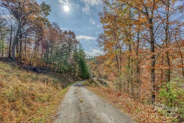 view of road