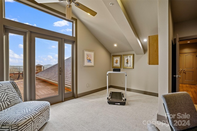 workout room with ceiling fan, carpet, and high vaulted ceiling