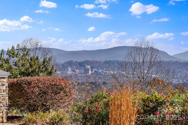 4 Chimney Crest Dr Unit J, Asheville, NC 28806 - photo 5