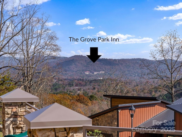 4 Chimney Crest Dr Unit J, Asheville, NC 28806 - photo 19