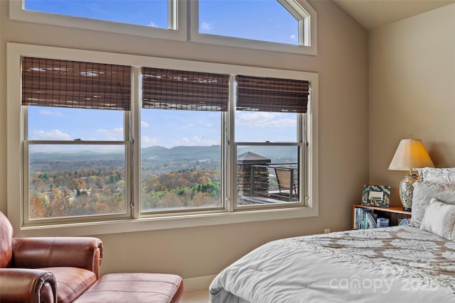 4 Chimney Crest Dr Unit J, Asheville, NC 28806 - photo 22