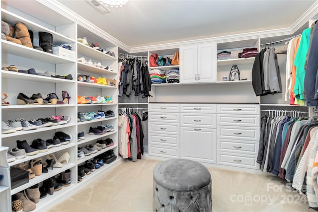 spacious closet with light carpet