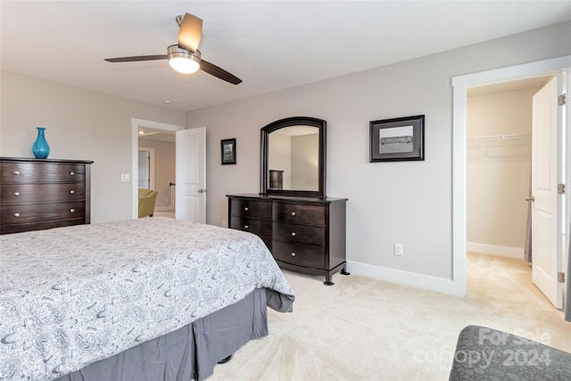 carpeted bedroom featuring ceiling fan, a walk in closet, and a closet