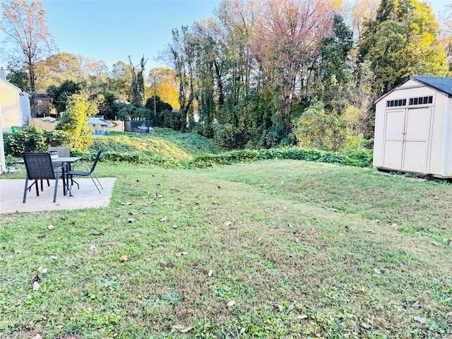 view of yard featuring a patio and a storage shed