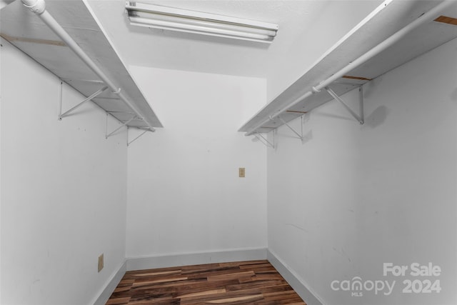 spacious closet with dark hardwood / wood-style flooring