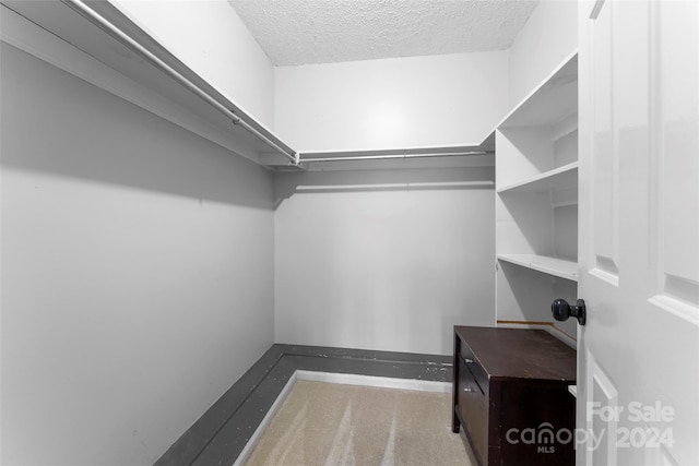 walk in closet featuring carpet floors