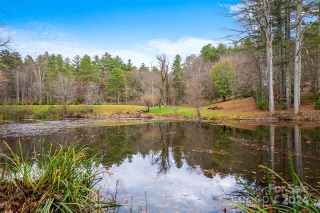 158 Glen Echo Ln, Hendersonville, NC 28739 - photo 41