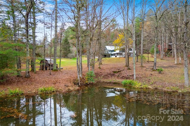 158 Glen Echo Ln, Hendersonville, NC 28739 - photo 42