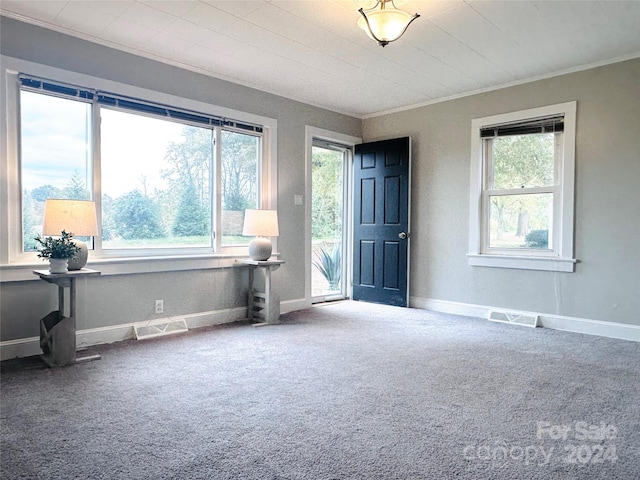 empty room featuring a wealth of natural light, carpet flooring, and crown molding