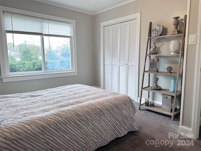 carpeted bedroom featuring a closet and ornamental molding