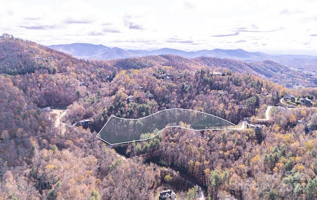 Listing photo 3 for 55 Bartrams Walk Dr Unit 7, Asheville NC 28804