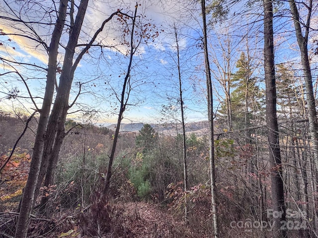 Listing photo 2 for 55 Bartrams Walk Dr Unit 7, Asheville NC 28804