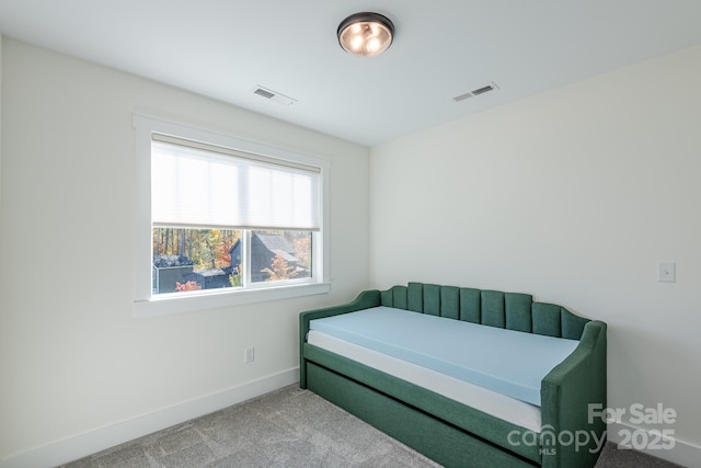 bedroom featuring carpet