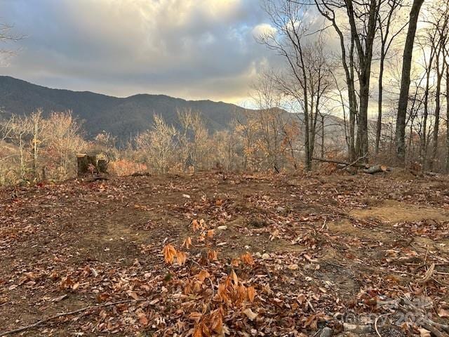 Listing photo 2 for LT19 Catawba Rdg, Maggie Valley NC 28751