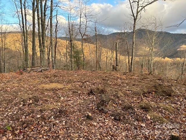 Listing photo 3 for LT19 Catawba Rdg, Maggie Valley NC 28751