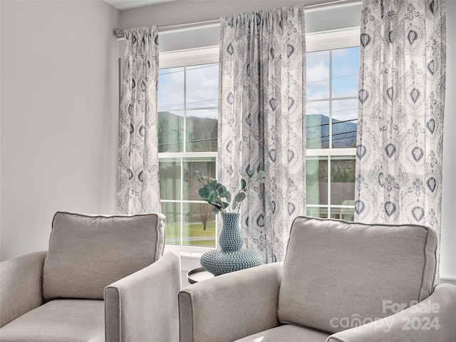 sitting room with a wealth of natural light