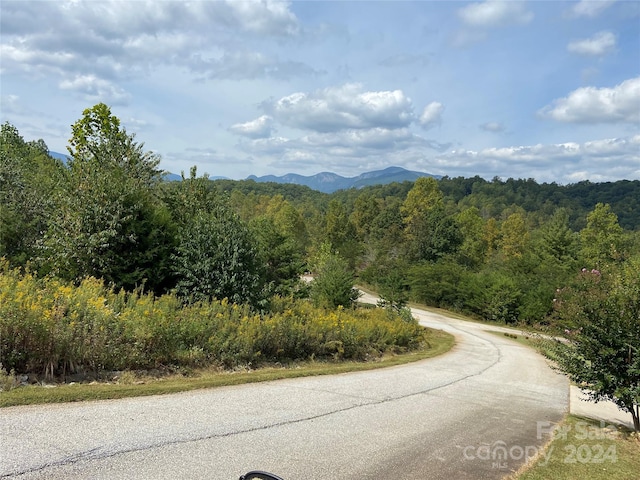 0 Willow Top Ln Unit 311, Lake Lure NC, 28746 land for sale