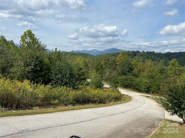 0 Willow Top Ln Unit 311, Lake Lure, NC 28746