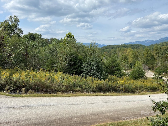 0 Willow Top Ln Unit 311, Lake Lure, NC 28746