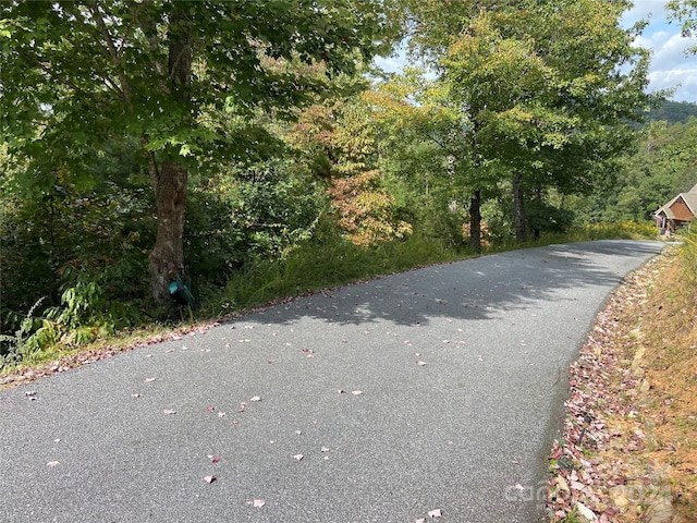 0 Willow Top Ln Unit 311, Lake Lure, NC 28746