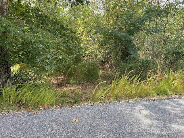0 Willow Top Ln Unit 311, Lake Lure, NC 28746