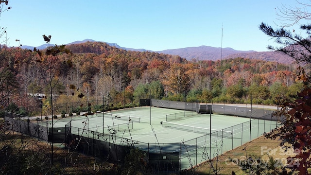 0 Willow Top Ln Unit 311, Lake Lure, NC 28746