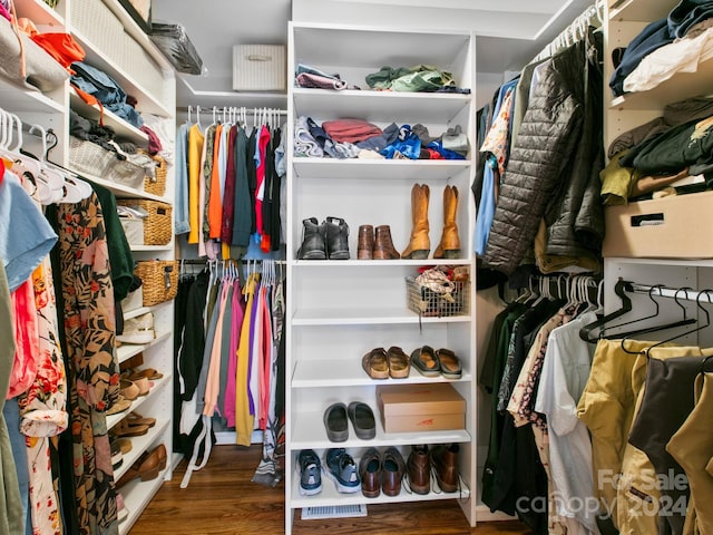 spacious closet featuring wood-type flooring