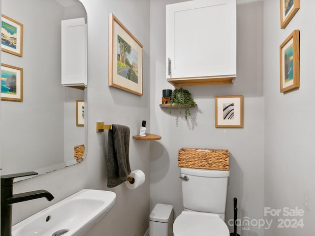 bathroom with sink and toilet