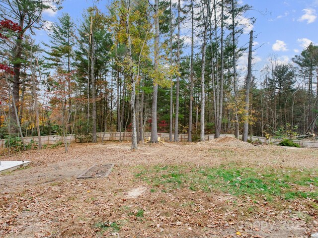 3 White Rock Ct, Arden, NC 28704 - view of yard with fence