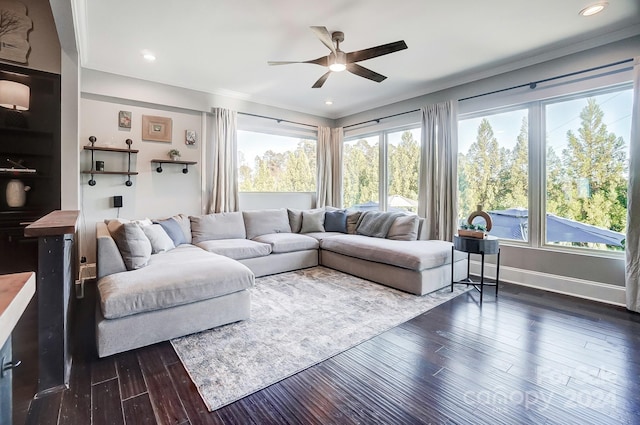 living room featuring ceiling fan, dark wood-type flooring, and crown molding