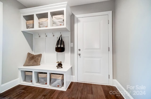 mudroom featuring dark hardwood / wood-style floors