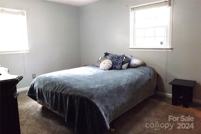 1572 W Lakewood Dr Unit 19, Rock Hill, SC 29732 - bedroom featuring carpet, multiple windows, and baseboards