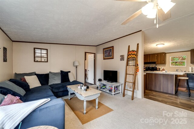 living room with crown molding, ceiling fan, a textured ceiling, and dark colored carpet